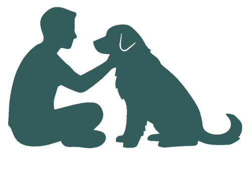 Silhouette of trainer and dog sitting together