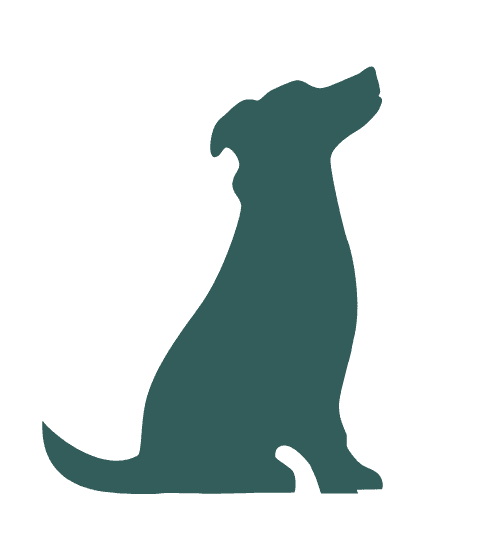 Dog silhouette sitting down nicely